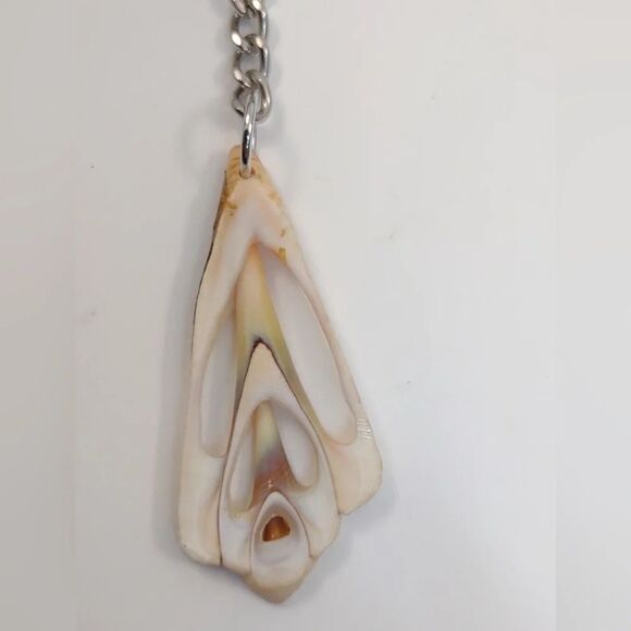 Seashell Keyring Slice Conch Seashell Clearwater Beach, Florida - Picture 6 of 15